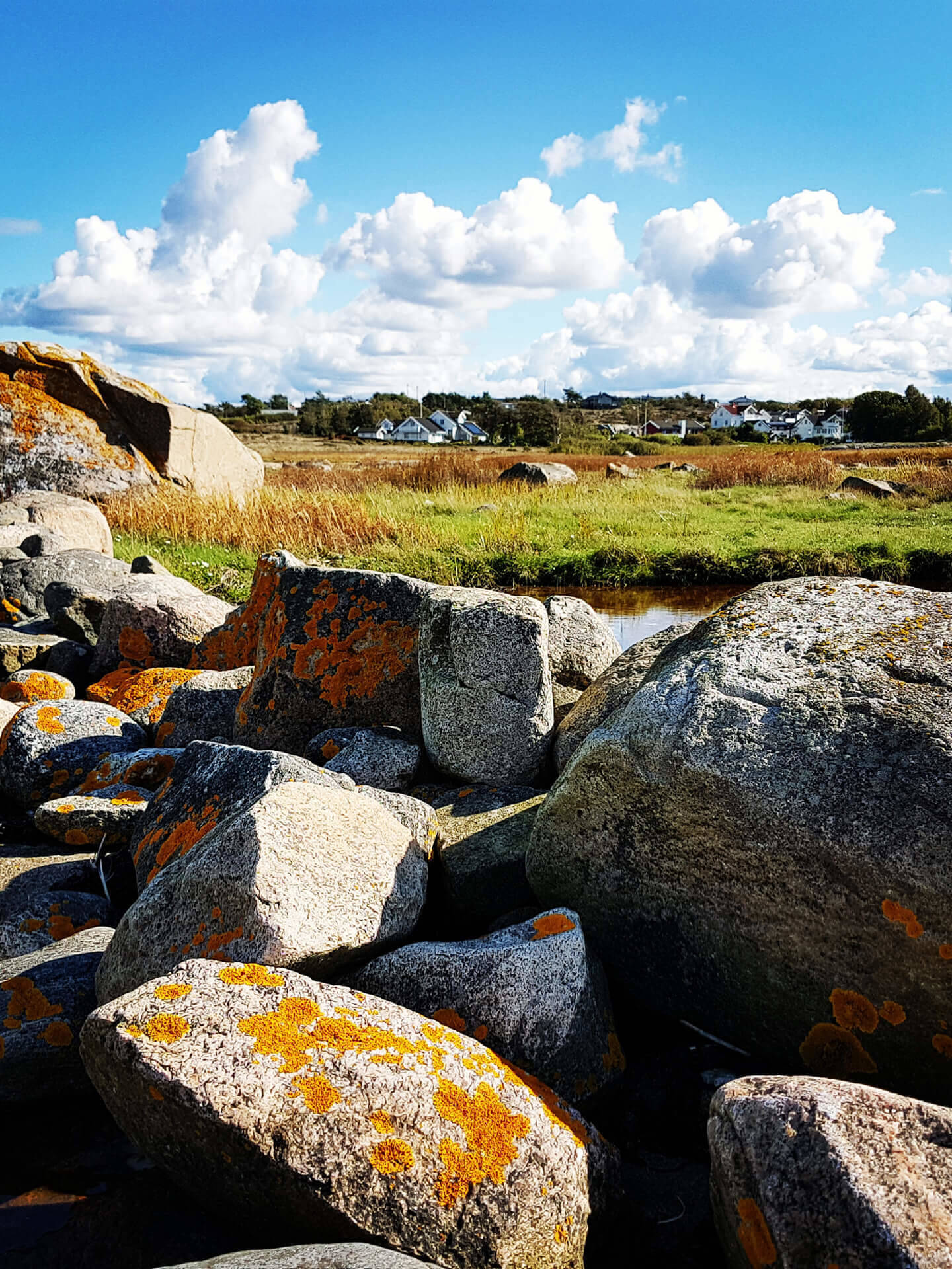 Stein i strand veggbilde fra Nordic art- Npd