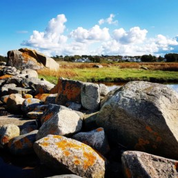 Stein i strand veggbilde fra Nordic art- Npd