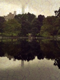 Veggbilde Central park cracedby Nordic Art