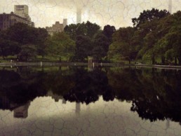 Veggbilde Central park cracedby Nordic Art