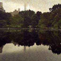 Veggbilde Central park cracedby Nordic Art