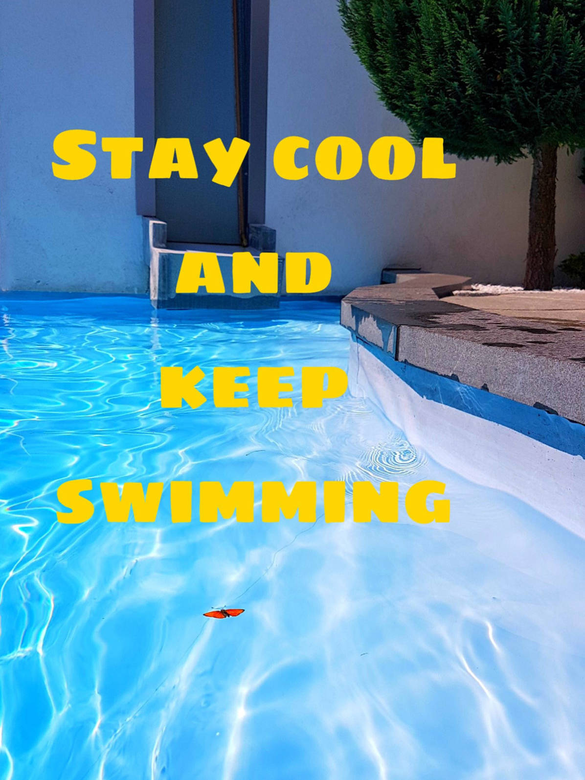 Stay cool and keep swimming