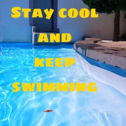 Stay cool and keep swimming