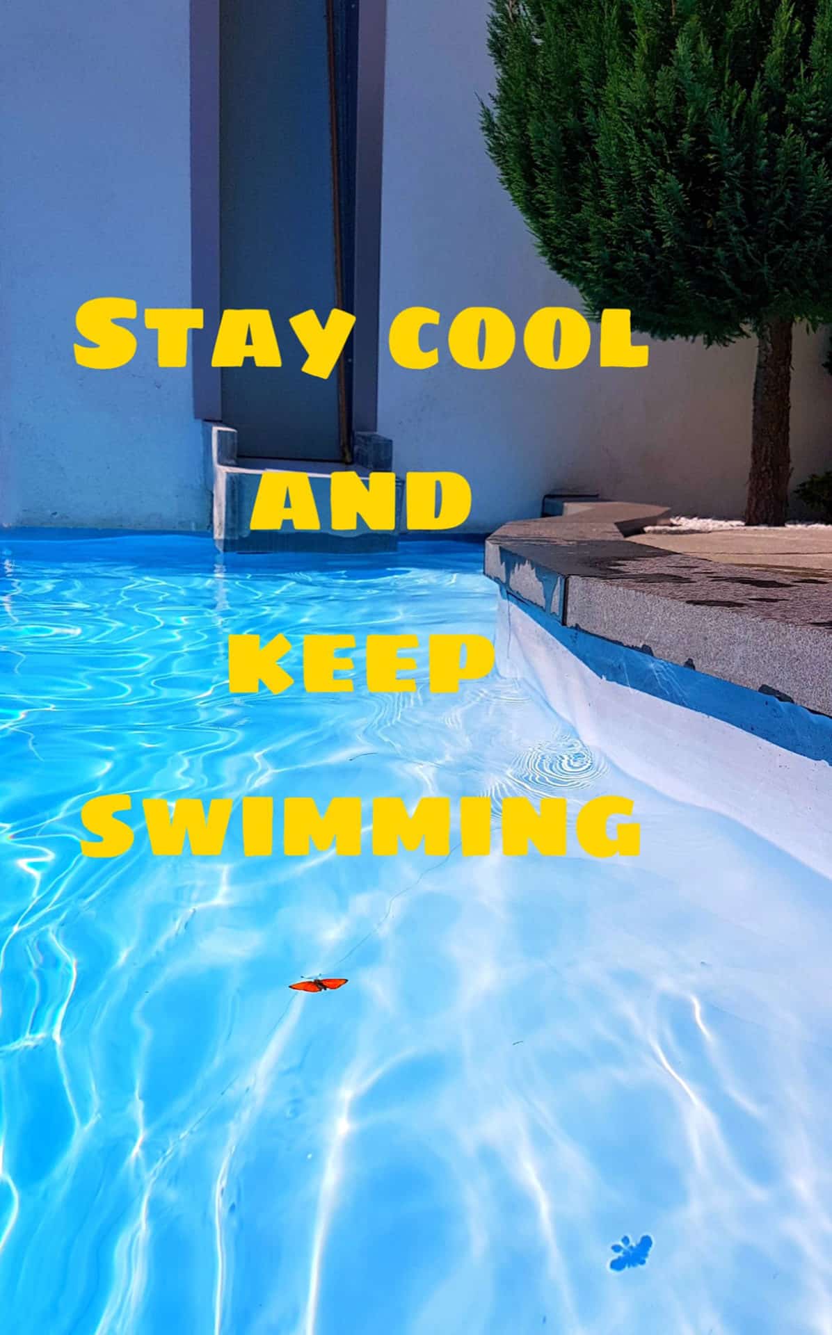 Stay cool and keep swimming