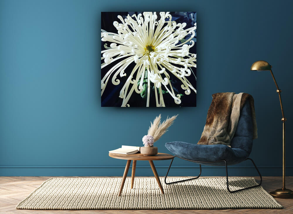 Floral white veggbilde i akryl eller alu fra Npd