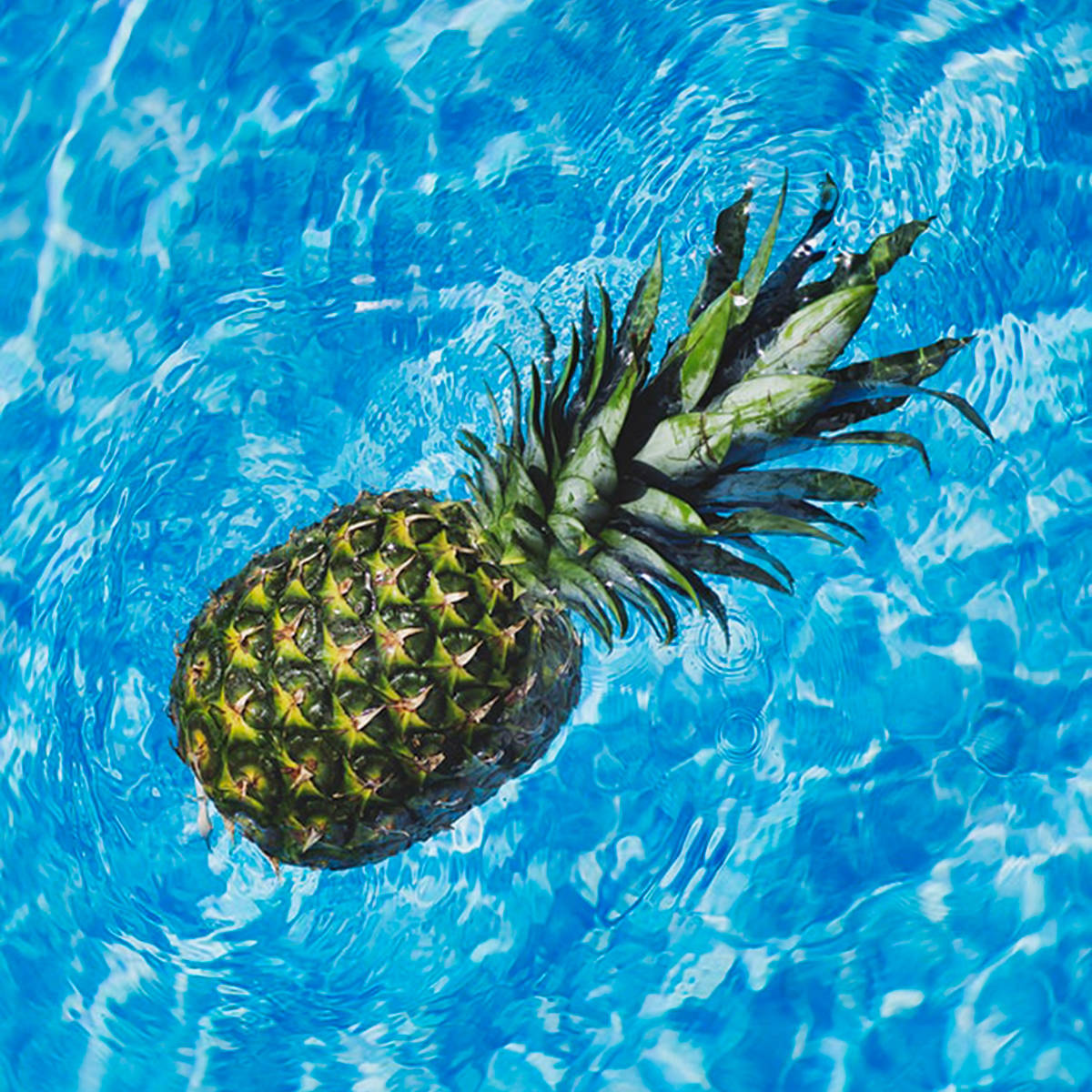 Pineapple in the pool veggbilde fra Dahlia Design