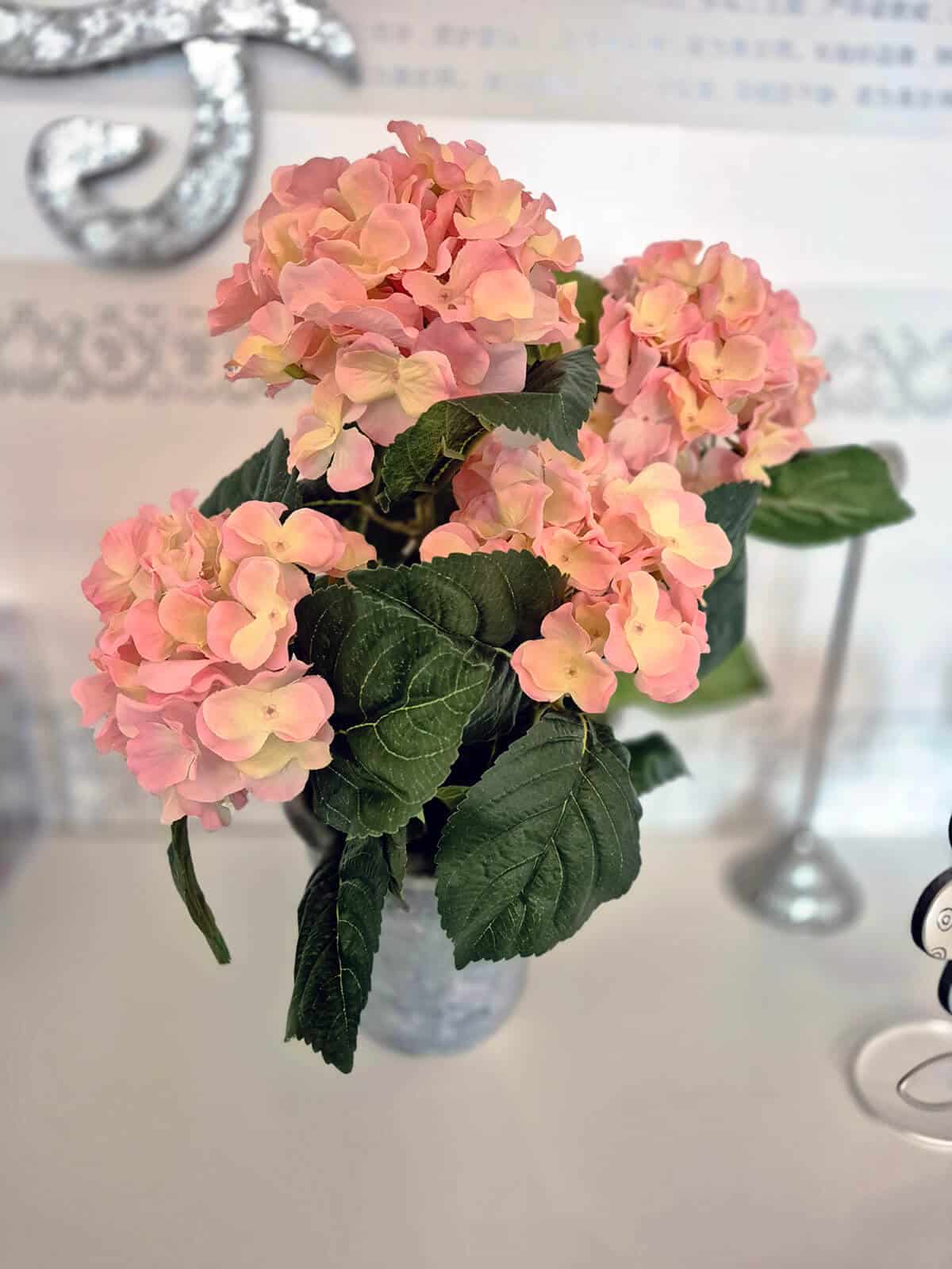 Rosa Hortensia potteplante fra Dahlia Design