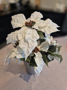 Hvit naturtro julestjerne fra Dahlia Design