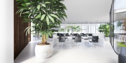 Fornyelse av arbeidsplaasen- Dahlia Design