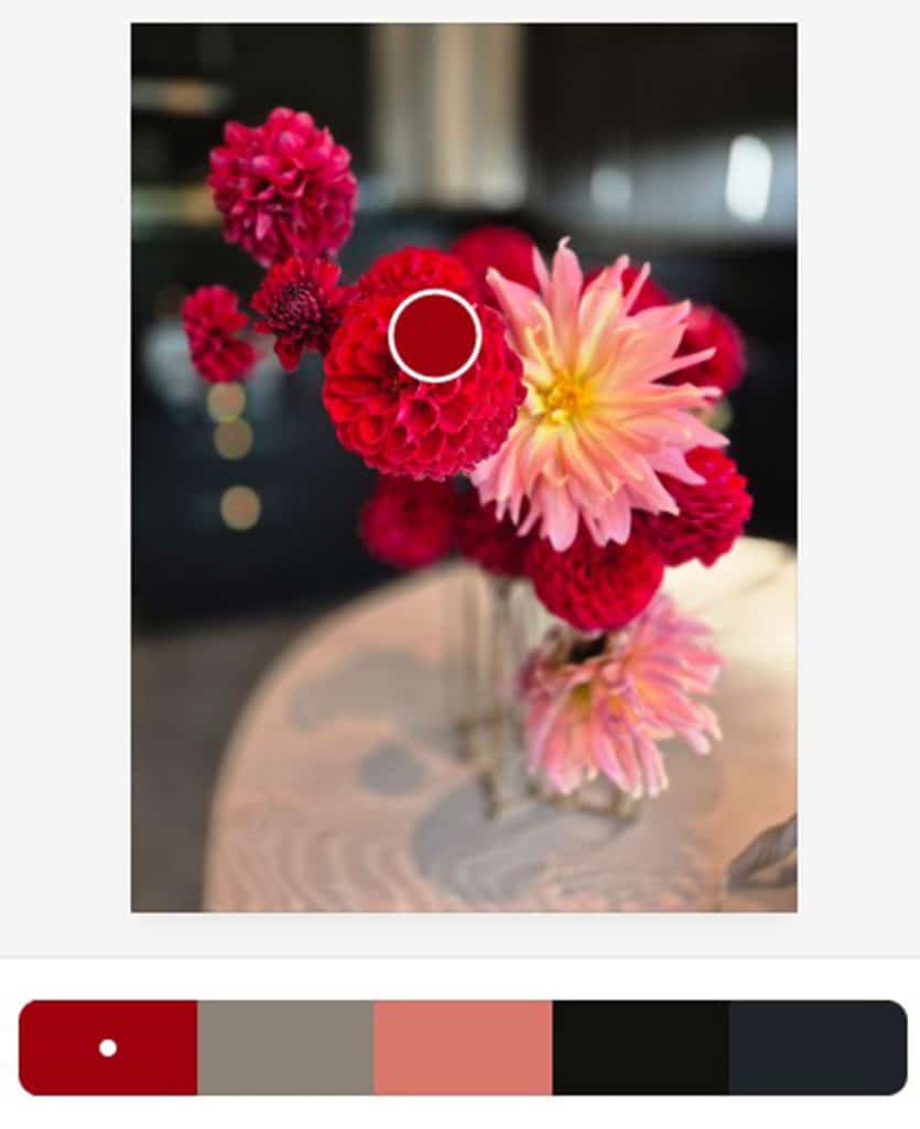Fargepalett fra Dahlia Design